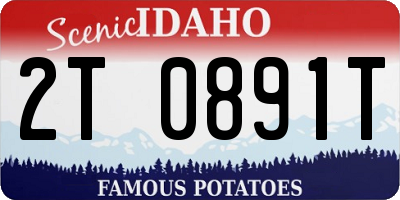 ID license plate 2T0891T