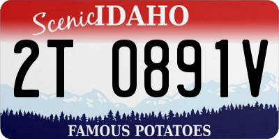 ID license plate 2T0891V