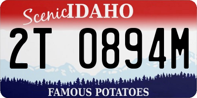 ID license plate 2T0894M