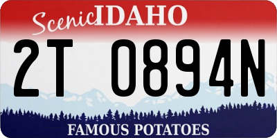 ID license plate 2T0894N