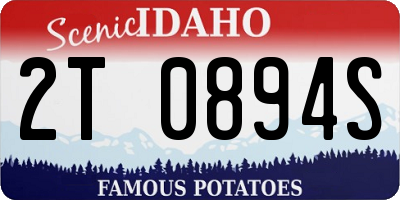 ID license plate 2T0894S