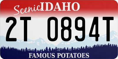 ID license plate 2T0894T