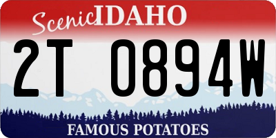 ID license plate 2T0894W