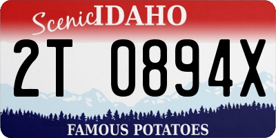 ID license plate 2T0894X