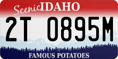 ID license plate 2T0895M