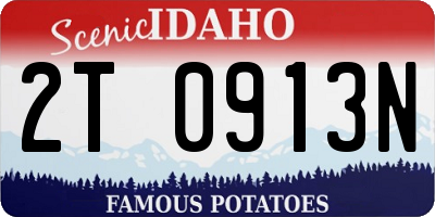 ID license plate 2T0913N