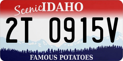 ID license plate 2T0915V