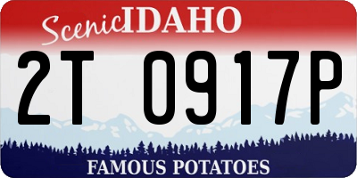 ID license plate 2T0917P