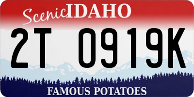 ID license plate 2T0919K