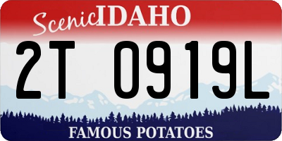 ID license plate 2T0919L