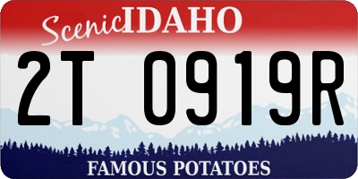 ID license plate 2T0919R