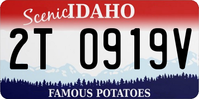 ID license plate 2T0919V