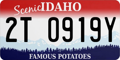 ID license plate 2T0919Y