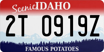 ID license plate 2T0919Z