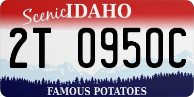ID license plate 2T0950C