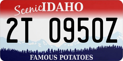 ID license plate 2T0950Z