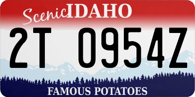 ID license plate 2T0954Z