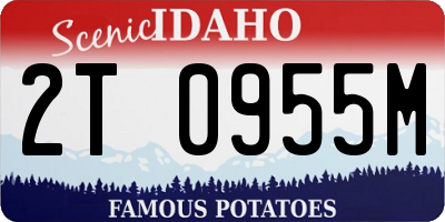 ID license plate 2T0955M