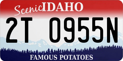 ID license plate 2T0955N