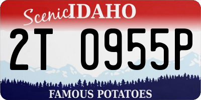 ID license plate 2T0955P
