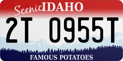 ID license plate 2T0955T
