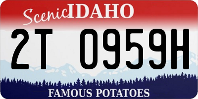 ID license plate 2T0959H
