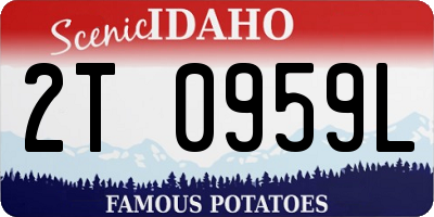 ID license plate 2T0959L