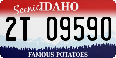 ID license plate 2T0959O