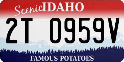 ID license plate 2T0959V