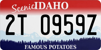 ID license plate 2T0959Z