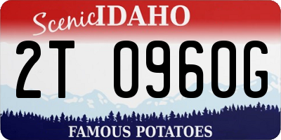ID license plate 2T0960G