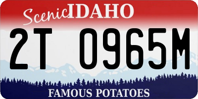 ID license plate 2T0965M