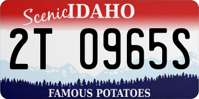 ID license plate 2T0965S
