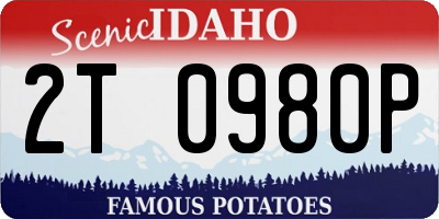ID license plate 2T0980P