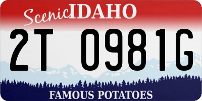 ID license plate 2T0981G