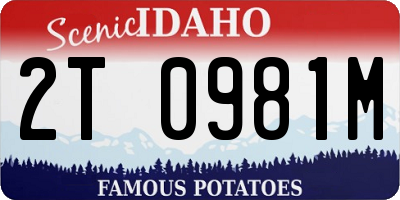 ID license plate 2T0981M