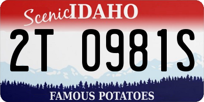 ID license plate 2T0981S