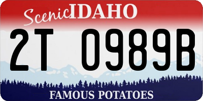 ID license plate 2T0989B