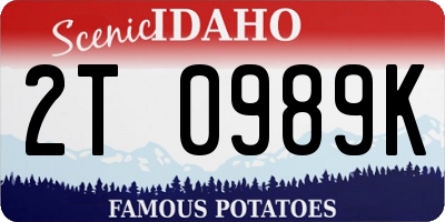 ID license plate 2T0989K