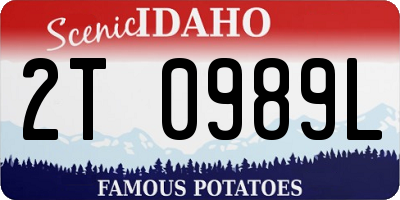 ID license plate 2T0989L