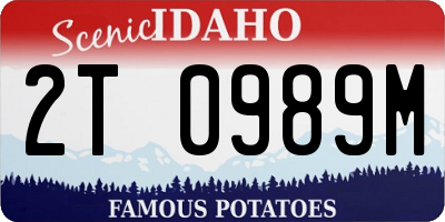 ID license plate 2T0989M