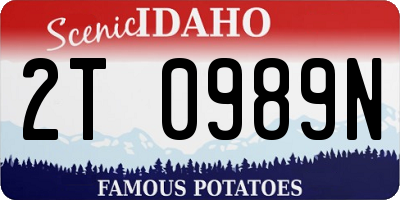 ID license plate 2T0989N