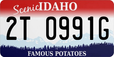 ID license plate 2T0991G
