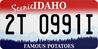 ID license plate 2T0991I