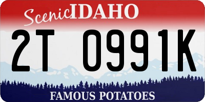 ID license plate 2T0991K