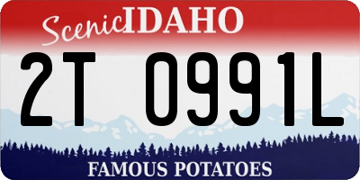 ID license plate 2T0991L