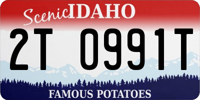 ID license plate 2T0991T
