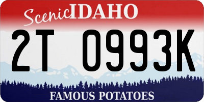ID license plate 2T0993K