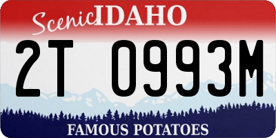 ID license plate 2T0993M