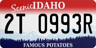 ID license plate 2T0993R